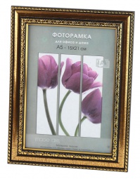 Interior Office 786 15*21 золото